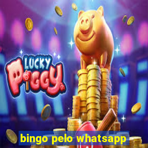 bingo pelo whatsapp