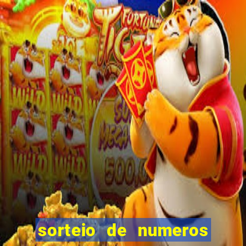 sorteio de numeros de bingo