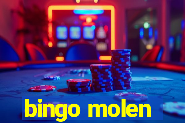 bingo molen