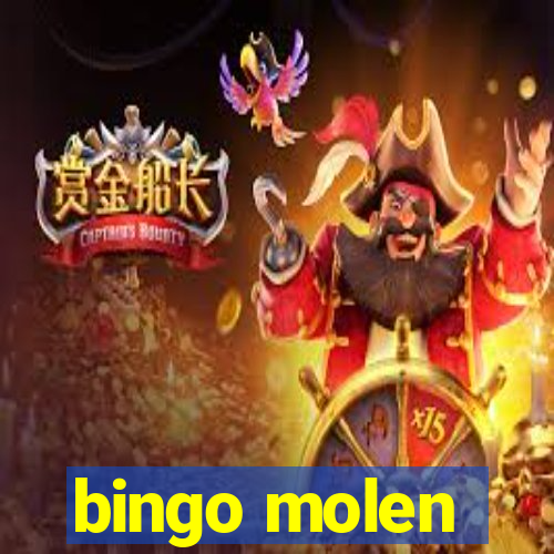 bingo molen