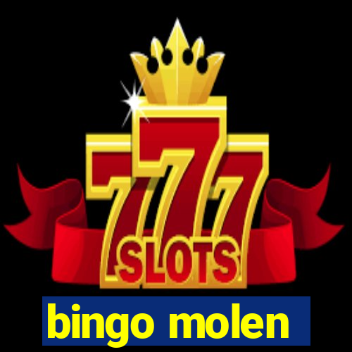 bingo molen