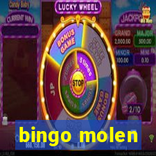 bingo molen