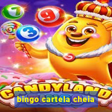 bingo cartela cheia