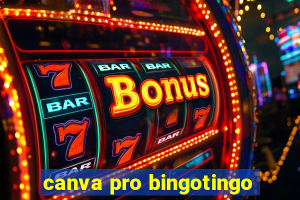 canva pro bingotingo