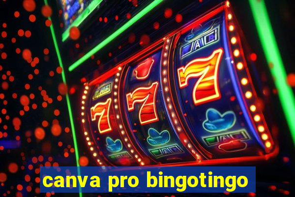 canva pro bingotingo